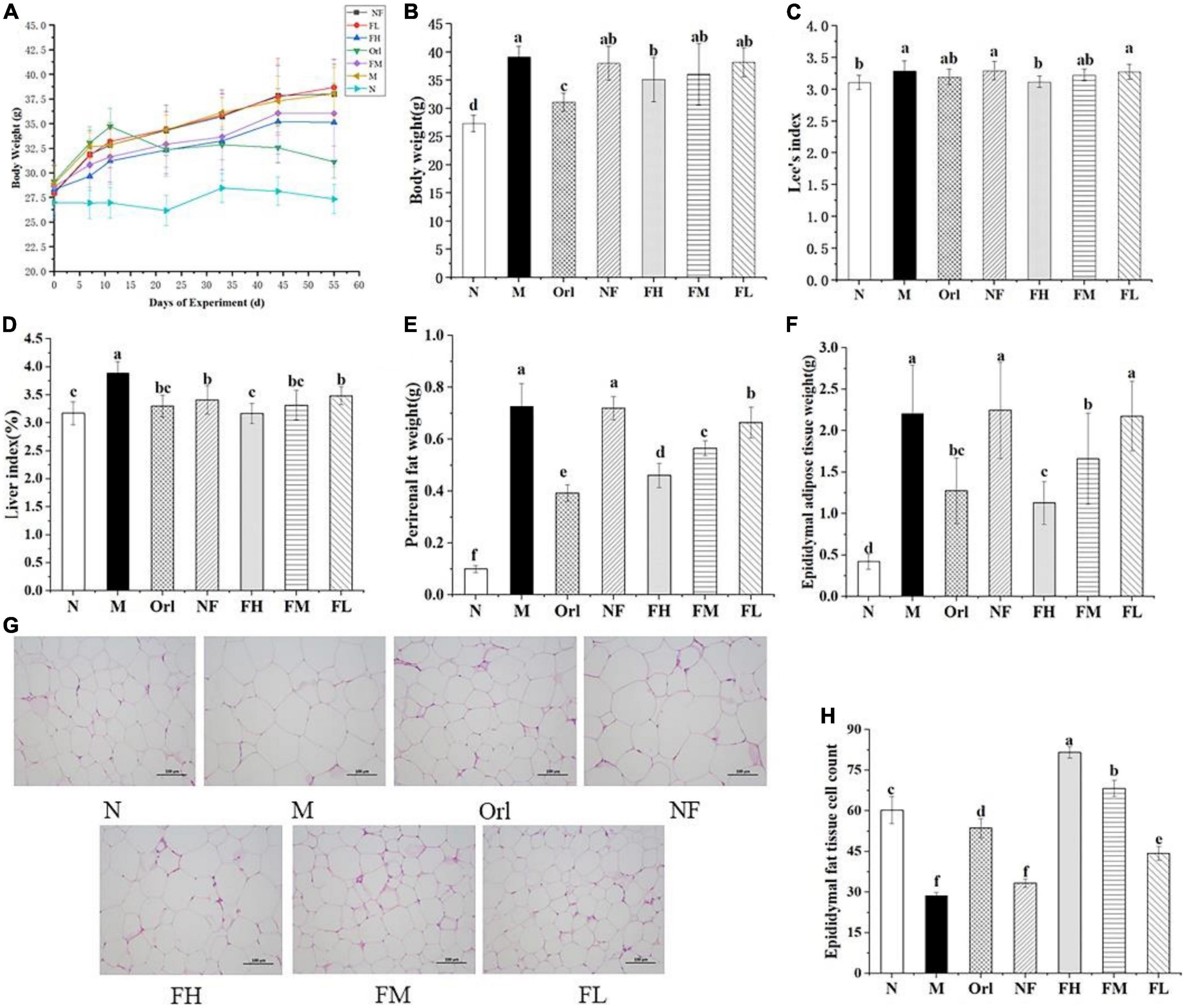 Anti-obesity effect of Angelica keiskei Jiaosu prepared by yeast fermentation on high-fat diet-fed mice